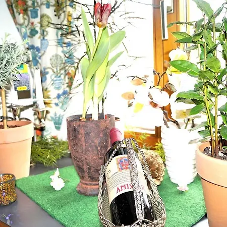 Gasthof Zum Schupfen Szálloda 3*