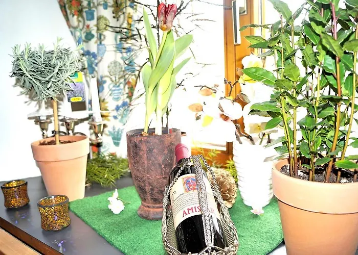 Gasthof Zum Schupfen 호텔 3*