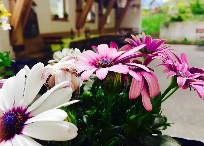 Gasthof Zum Schupfen 3*