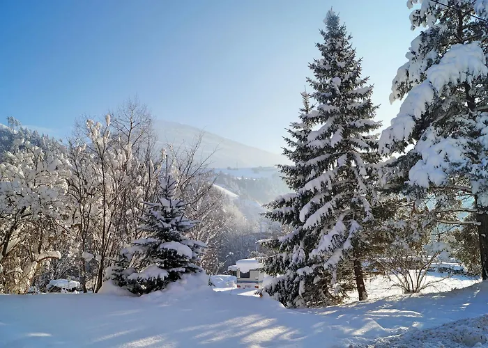 Gasthof Zum Schupfen