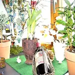 Gasthof Zum Schupfen Отель 3*